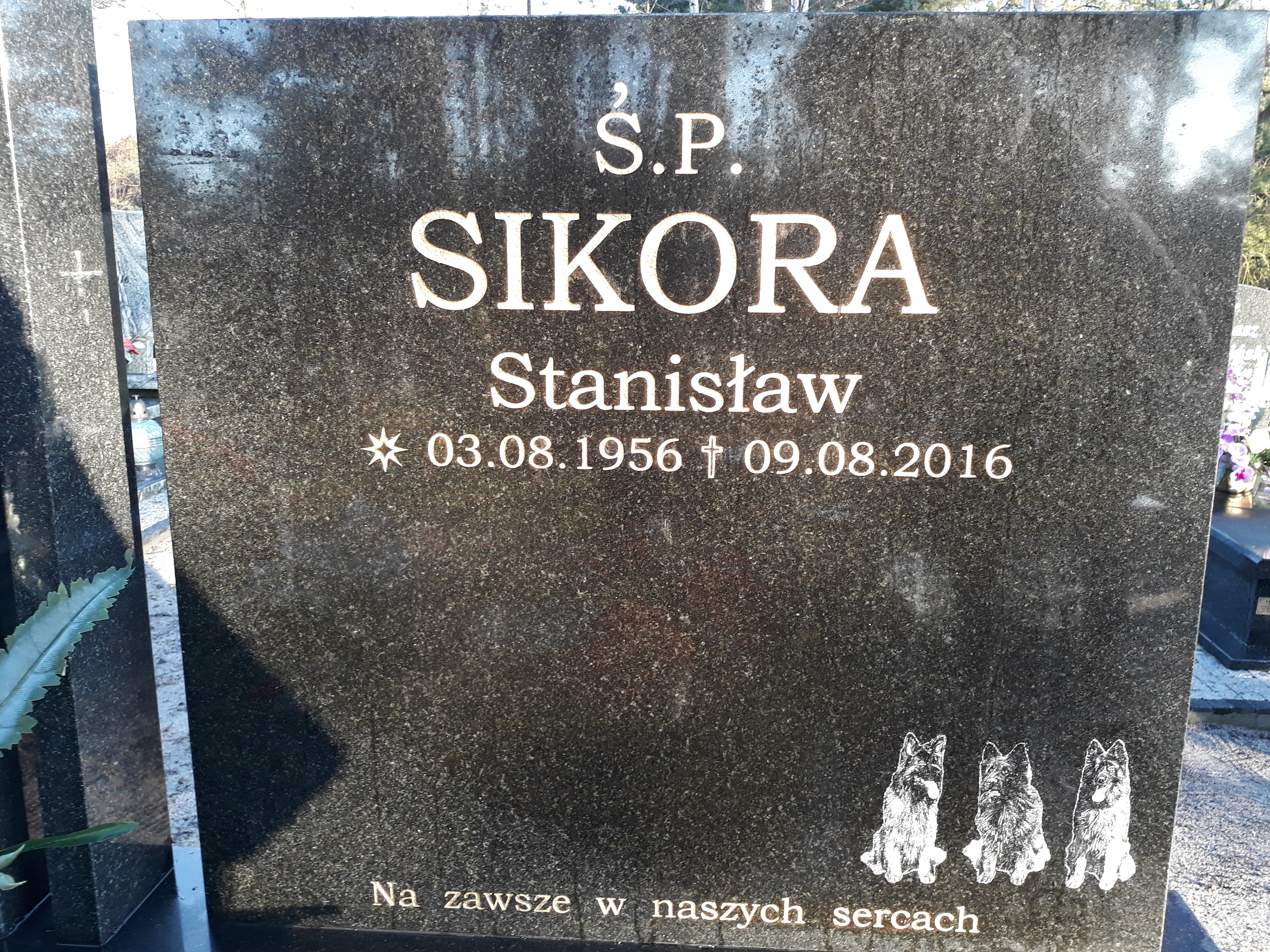 Grób Stanisław Sikora