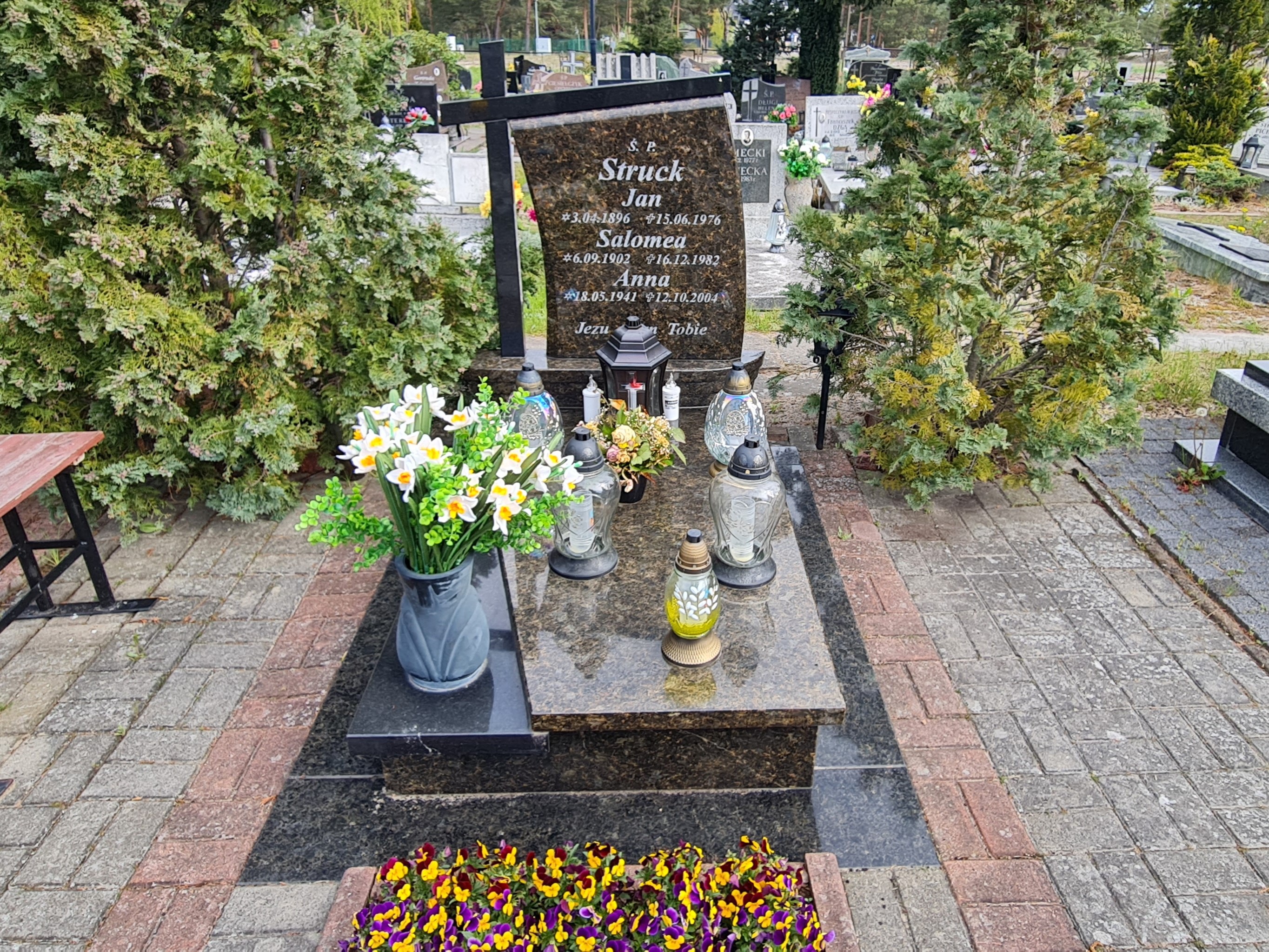 Grób Salomea Struck