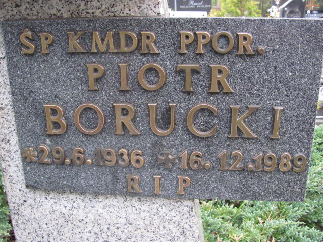 Piotr Borucki 1936 Hel - Grobonet - Wyszukiwarka osób pochowanych